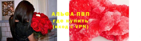 дмт Белокуриха
