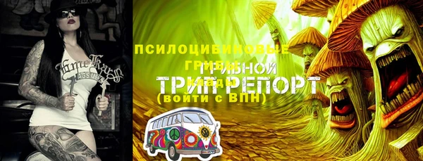 дмт Белокуриха