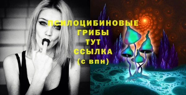 дмт Белокуриха