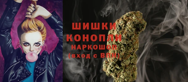 гидра Белоозёрский
