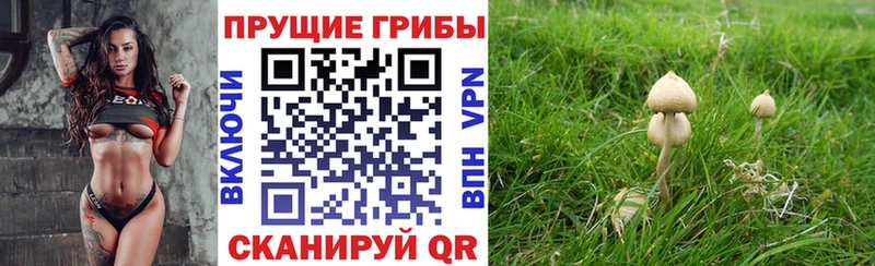 Псилоцибиновые грибы ЛСД  MEGA зеркало  Печора 